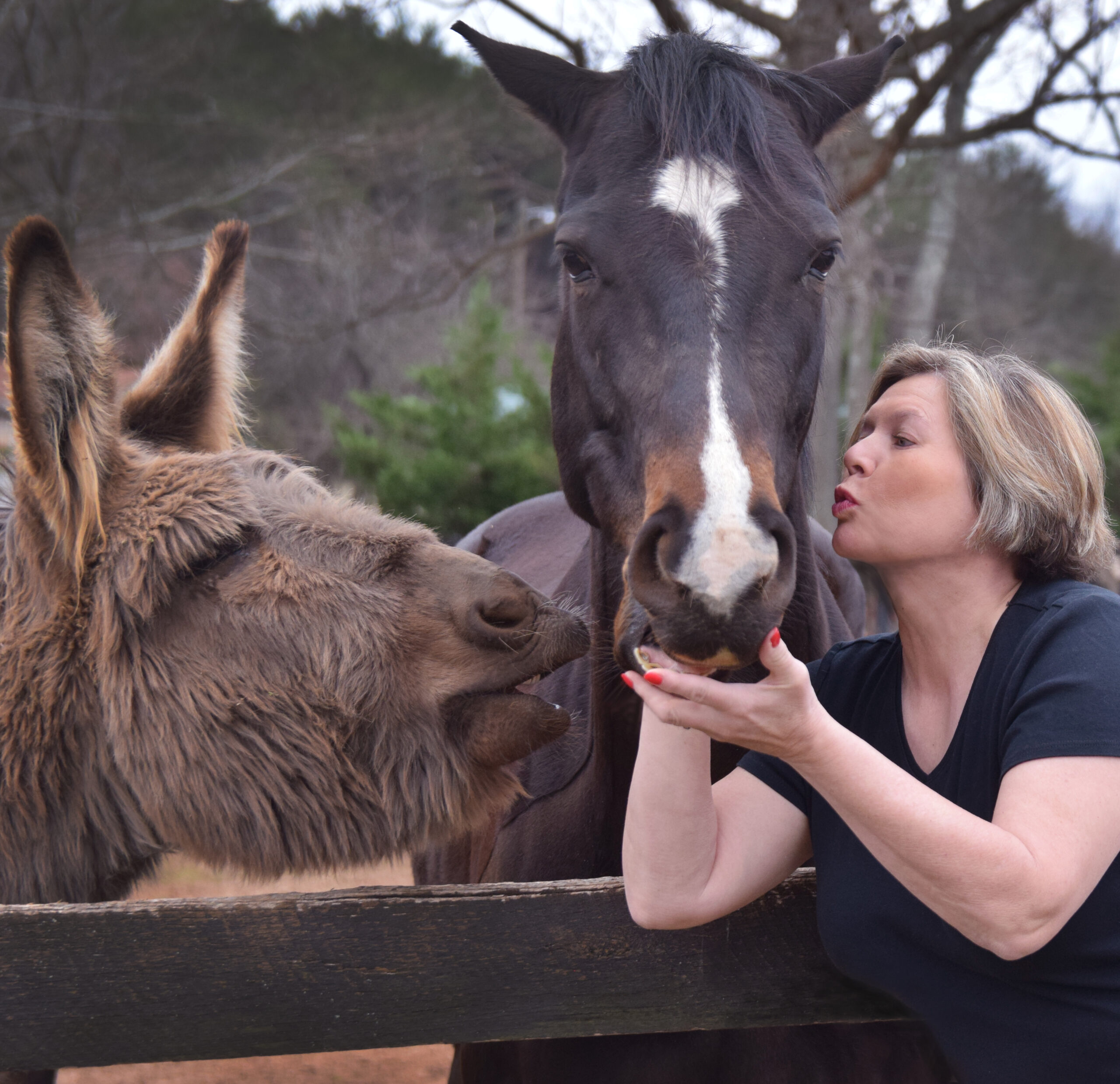 Tammy Martell Bed and Barn Farms